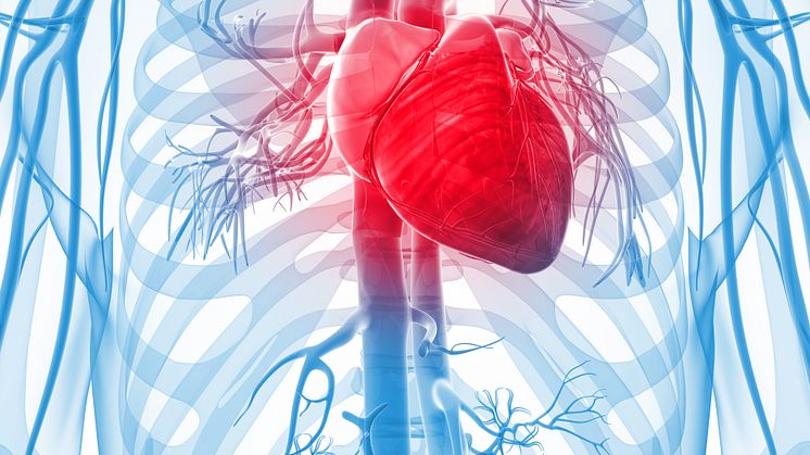 A new clinical trial shows that daily intake of Calanus® Oil improves cardiac function and insulin sensitivity
