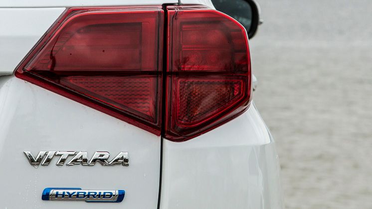 I første halvår af 2021 står Suzuki for 19,6 pct. af alle biler med mild-hybrid motorteknologi og er dermed det bilmærke med fleste solgte mild-hybrider i Danmark.