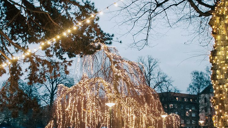 Vinterdröm i Folkets Park