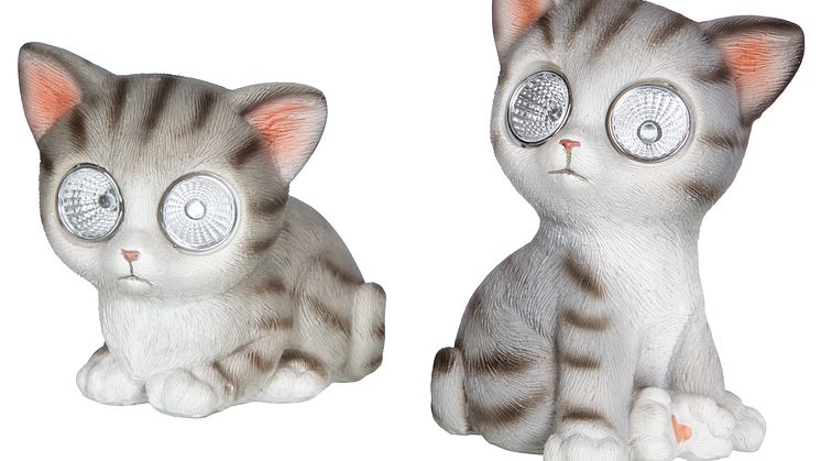 Katt solcell