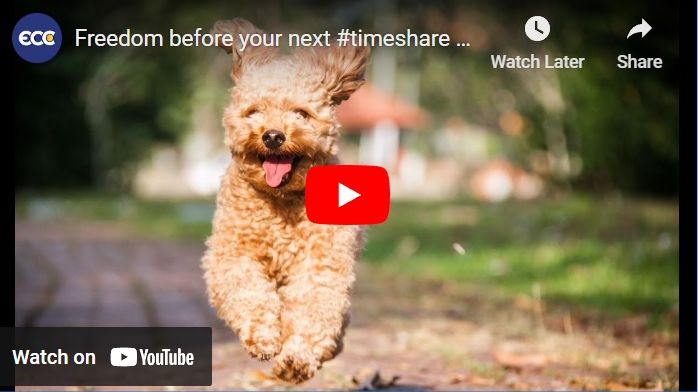 Freedom before next timeshare maintenance bill youtube