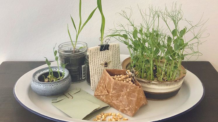presenttips_froer