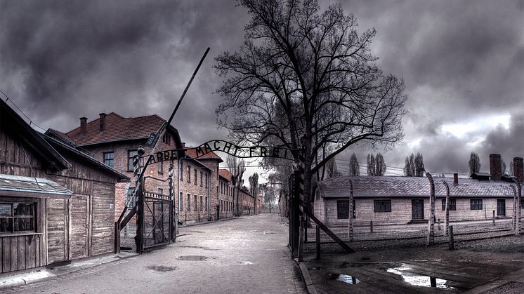 The Unseen Holocaust