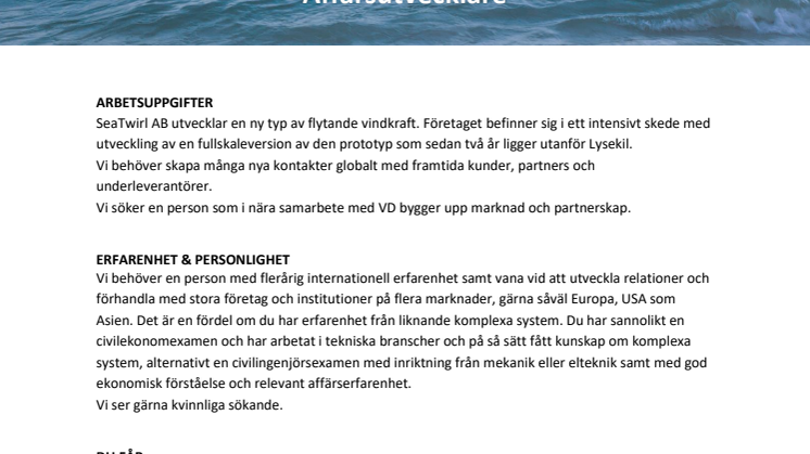 Seatwirl söker affärsutvecklare och utvecklingsingenjör