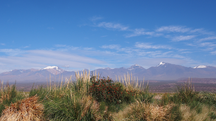 Finca Las Moras Winery