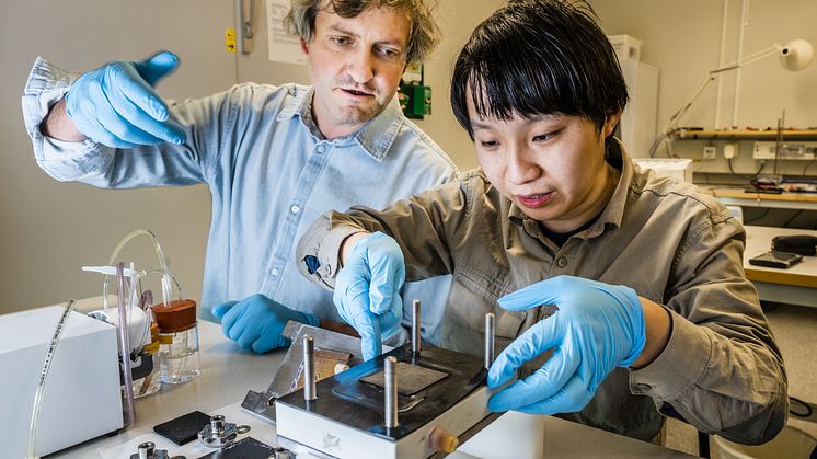 Mikhail Vagin, Penghui Ding, Laboratoriet för organisk elektronik.