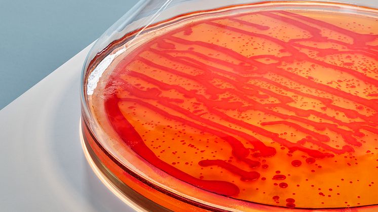Bacteria in a new light av Jan Klingler. © Inter IKEA Systems B.V. 2020