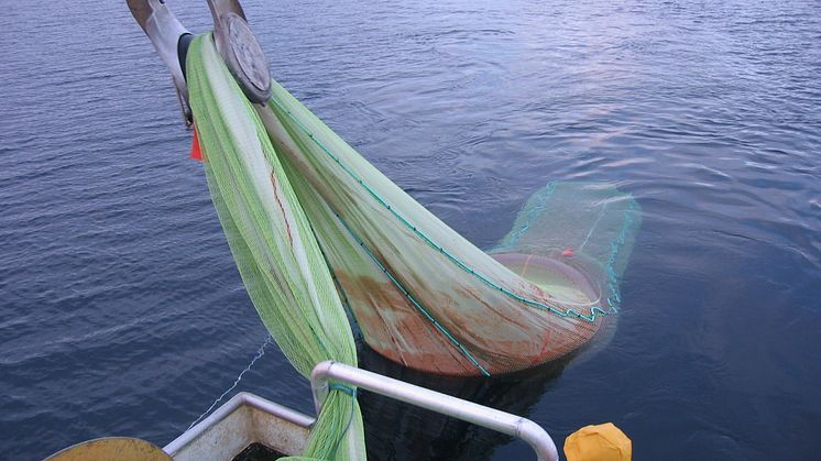 Får støtte fra Norges Forskningsråd og trapper opp forskningsaktiviteten
