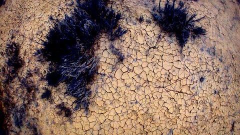 Brev till Sida: Angola och Namibia behöver katastrofhjälp
