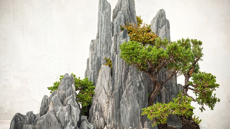 aphotostory/Shutterstock.com