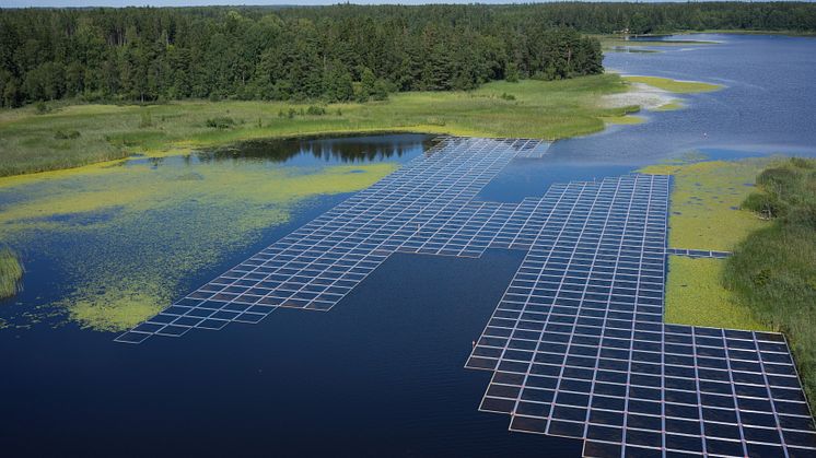 Ett sätt att bekämpa sjögull är att placera ramar med duk över unga plantor som precis kommit upp ur vattnet tidigt på säsongen. Foto: Peter Olsson, Ingmars Drönartjänst/Havs- och vattenmyndigheten.