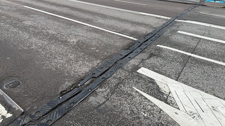Broskarvar på Centralbron2.jpeg