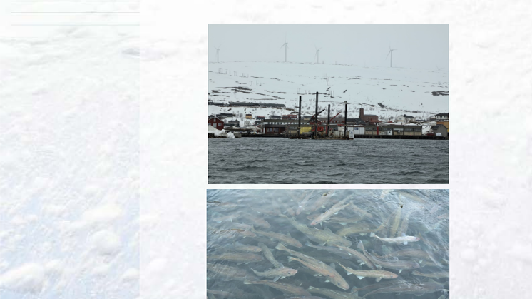 APN 2018 rapport - undervannsstøy ved sprengninger