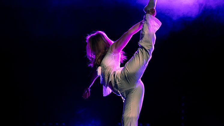 Olle Wester, Arvika Lokalfestival  2025.jpg