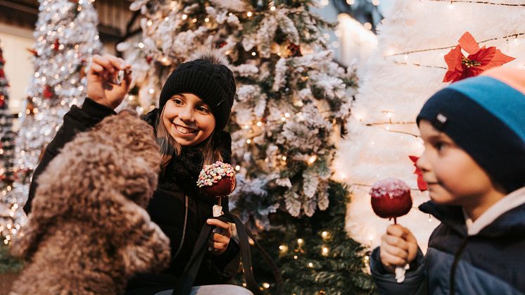 Kungsbacka julmarknad
