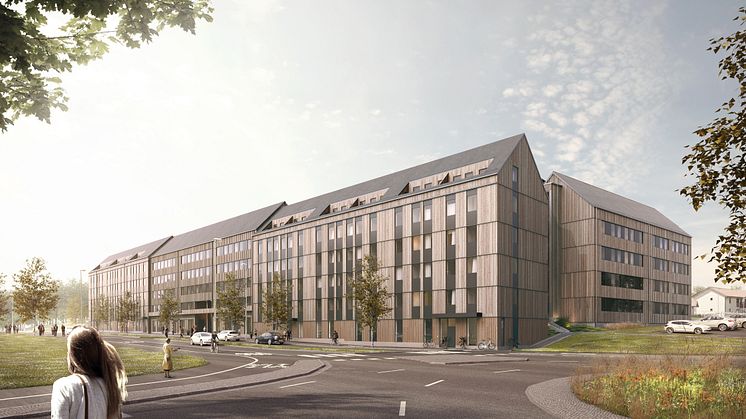 Titteridamm lamellhus i trä