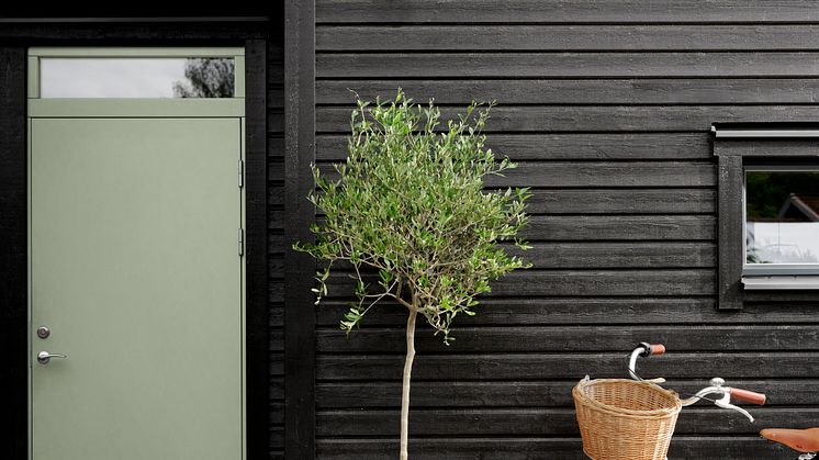 Jotun 0734 Brunsvart_dør 8426 Dewy Green.jpg