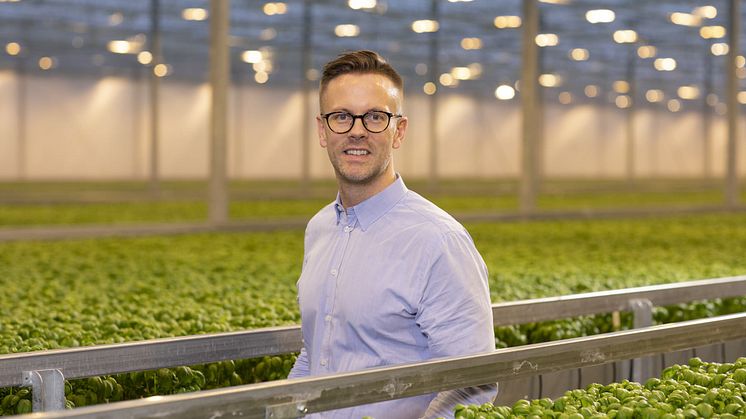 Oscar Rosdahl är VD för Svegro som odlar örter och sallat och satsar på utveckling av gröna smaker i form av t ex färsk örtpesto.