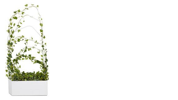 GREEN DIVIDER - grafisk avskärmning för gröna rum
