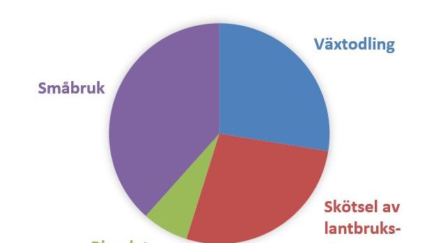 Diagram antal jordbruksföretag