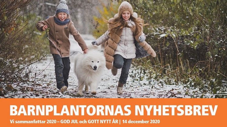 BARNPLANTORNAS NYHETSBREV sammanfattar 2020