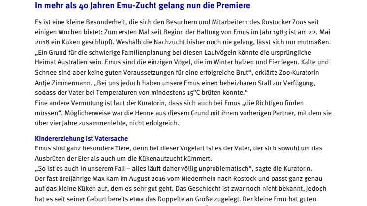 Erstes Emu-Küken im Zoo Rostock geboren