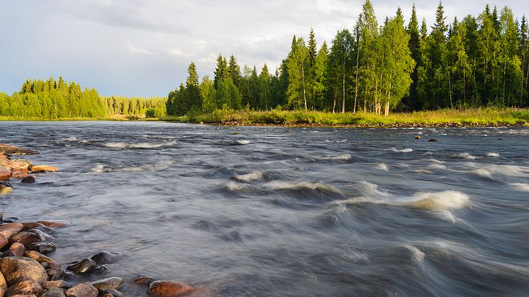 Svevia förstärker dammkonstruktion vid Tåsjö i Jämtland. Foto: Mikael Svensson/Johnér
