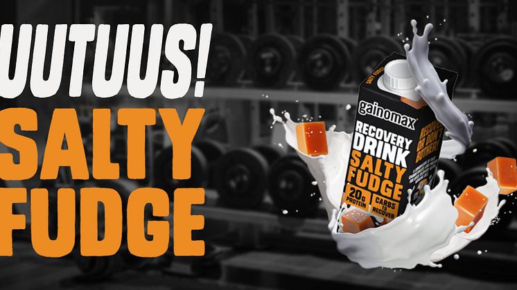 Gainomax Salty Fudge palautusjuoma