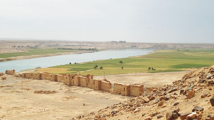 Programserie: Syriens arkeologi & historia på Medelhavsmuseet