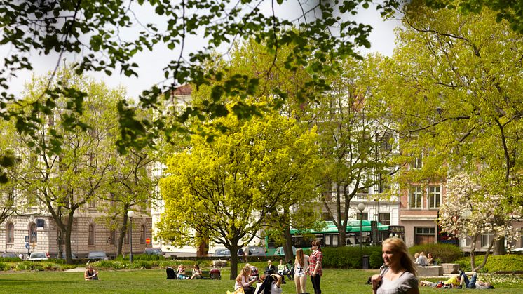 Internationell konferens i Helsingborg om publika parker och trädgårdar