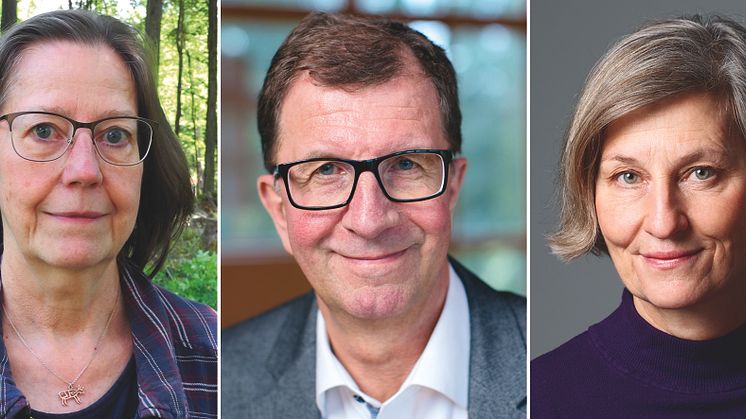 Hedersdoktorer vid Luleå tekniska universitet 2018, Lilian Ryd, Lars Martinson och Gertrud Åström