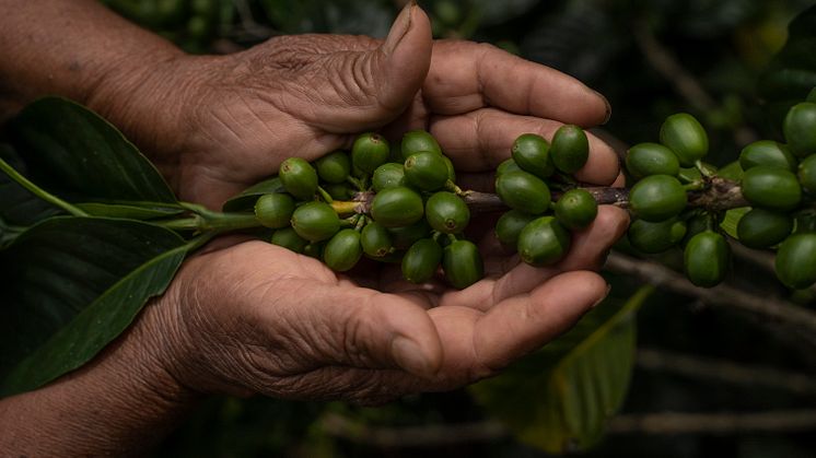 Guatemala4