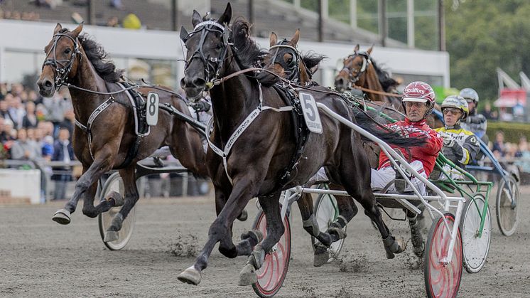 V75-jackpot och årsdebuterande topphäst