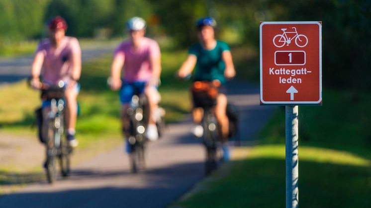 Kattegattleden is number one among european cycle routes 2018.