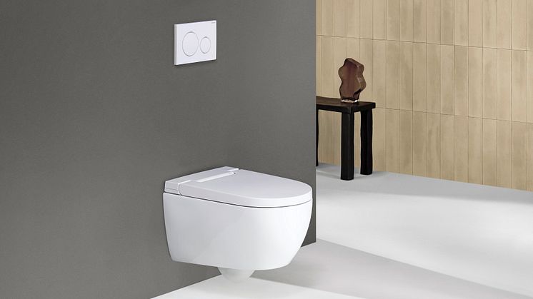 2024_Geberit AquaClean Alba_Private_Sigma20_grey_deco_Original.jpeg