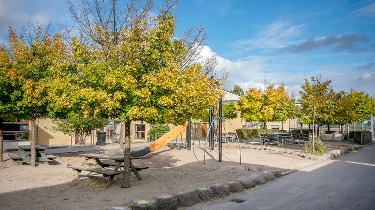 Nyager Skole