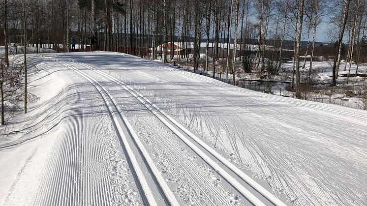 Har du tid att vara sjuk?