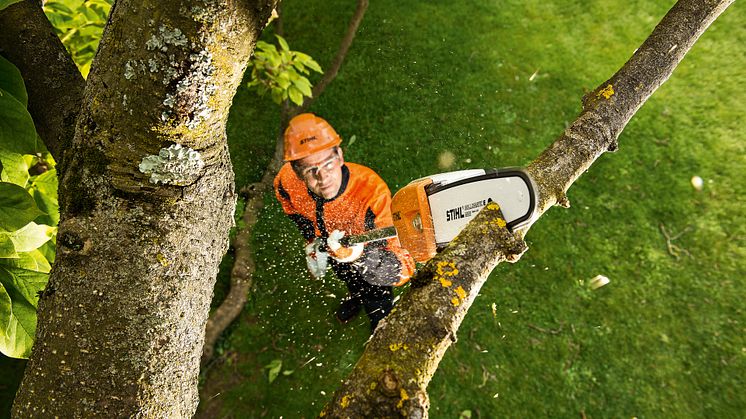 STIHL STANGSAV