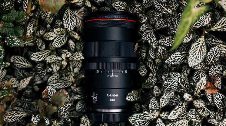 Canon reveals three new RF lenses –including a ‘world first’ – offering photographers next-level capabilities