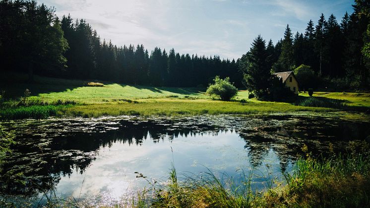 BLOCKLINE Natur Gravel Club_Foto TVE Dan Zoubek.jpg