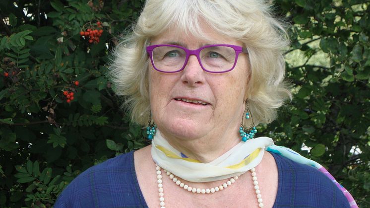 Karin Fridell Anter