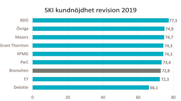 SKI revision per bolag 2019