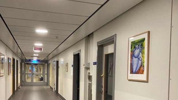 Verket närmast i bild är en akvarell av Atti Johansson