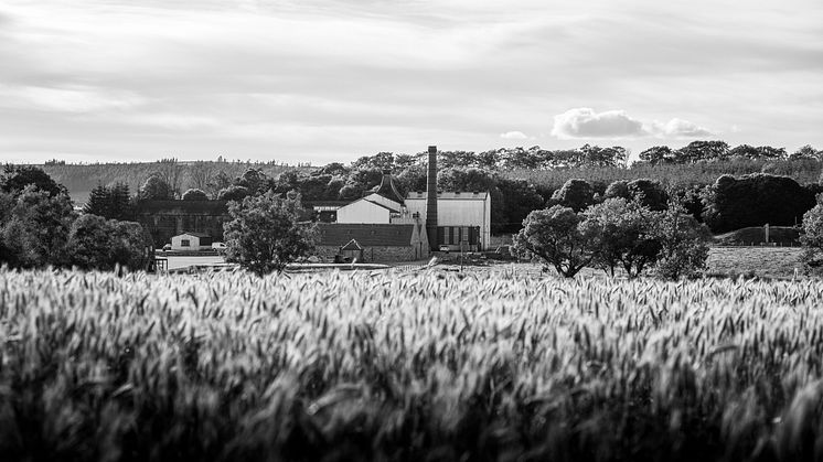 Knockdhu Distillery