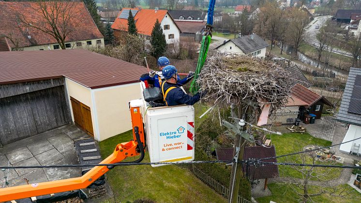 20240228_Storchennest Langerringen