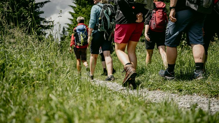 Wandern verbindet (Foto: TVE/Dirk Rückschloss)