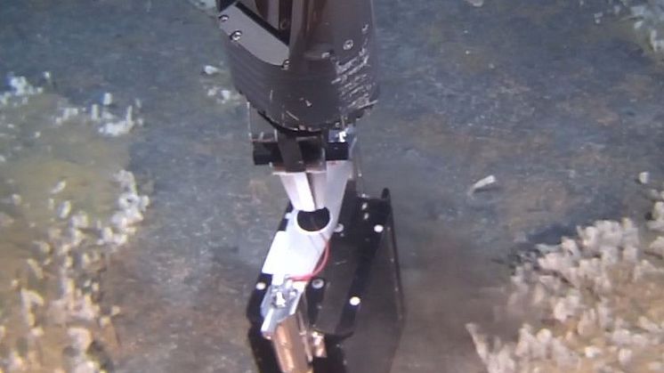 Figure 7G cold seeps