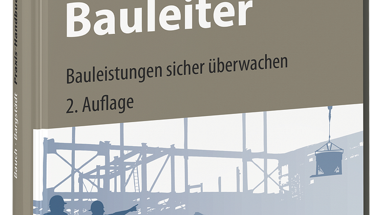 Praxis-Handbuch Bauleiter (3D/tif)