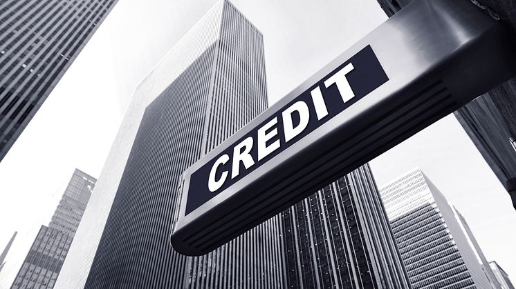 Credit rating: Worth protecting