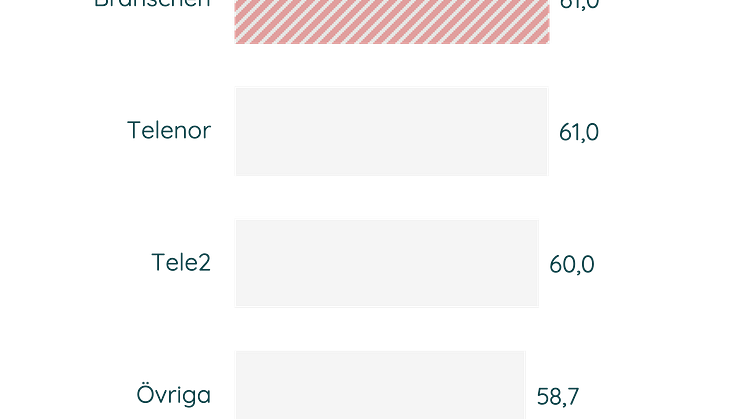 Företagskunder Hållbarhetsindex